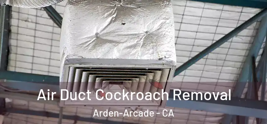 Air Duct Cockroach Removal Arden-Arcade - CA