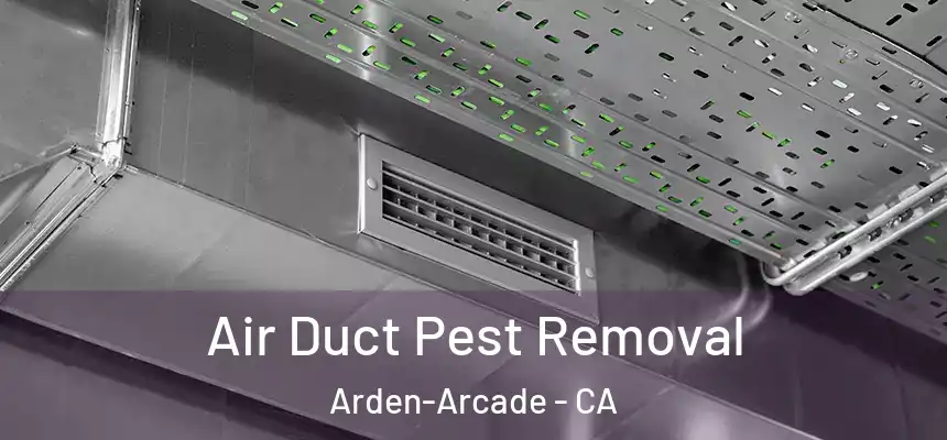 Air Duct Pest Removal Arden-Arcade - CA
