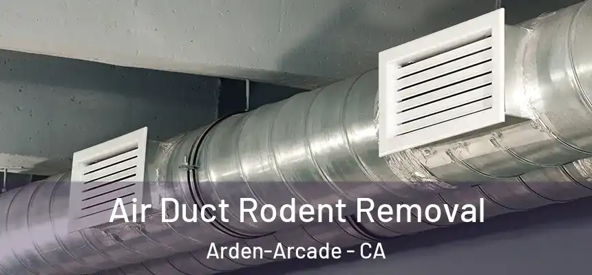 Air Duct Rodent Removal Arden-Arcade - CA