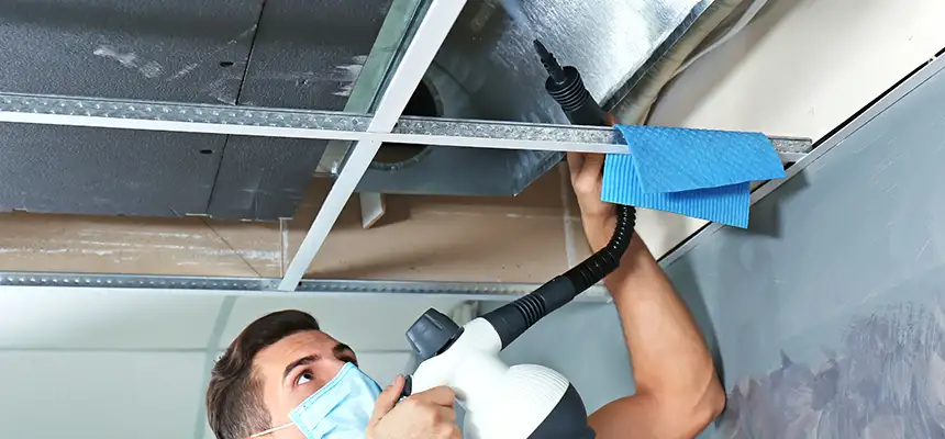 Our Air Duct Rodent Removal Services in Arden-Arcade, CA