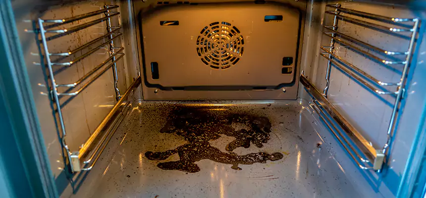 Our Dryer Vent Mold Cleaning Services in Arden-Arcade, CA