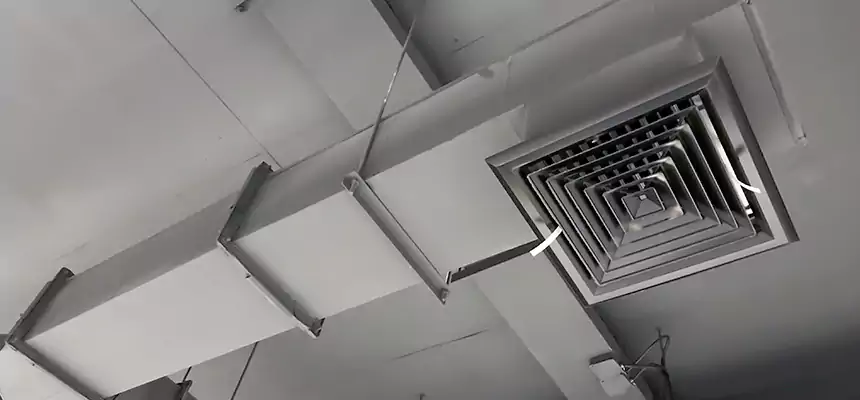 Our Rodent Droppings In Vents Services in Arden-Arcade, CA