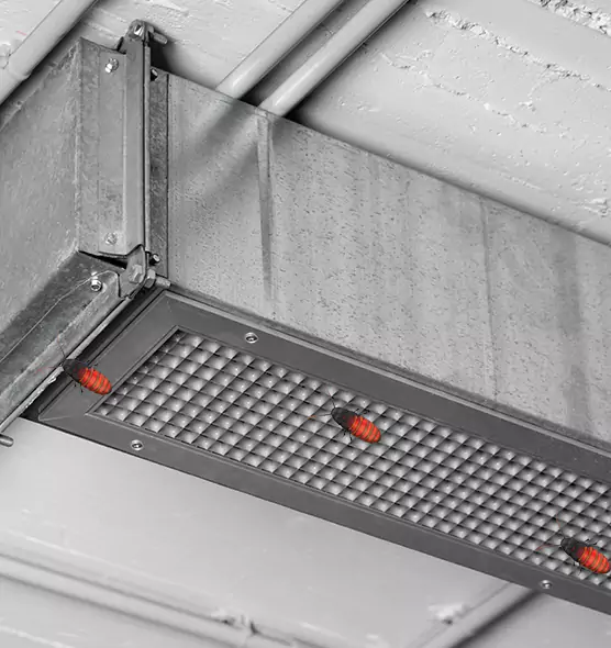 Affordable Insect Removal from Air Ducts in Arden-Arcade, CA