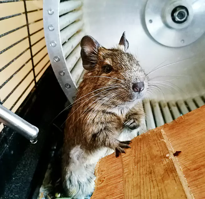 Why Homeowners & Businesses Trust Us Arden-Arcade, CA