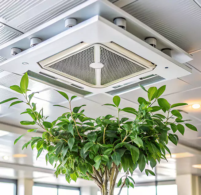 Why Homeowners & Businesses Trust Us in Arden-Arcade, CA?